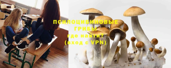 винт Алексин