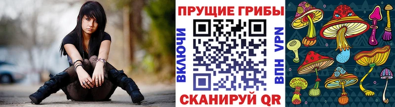 Псилоцибиновые грибы GOLDEN TEACHER  Купить  Кущёвская 