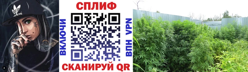 Купить закладки  Кущёвская  Марихуана Bruce Banner 